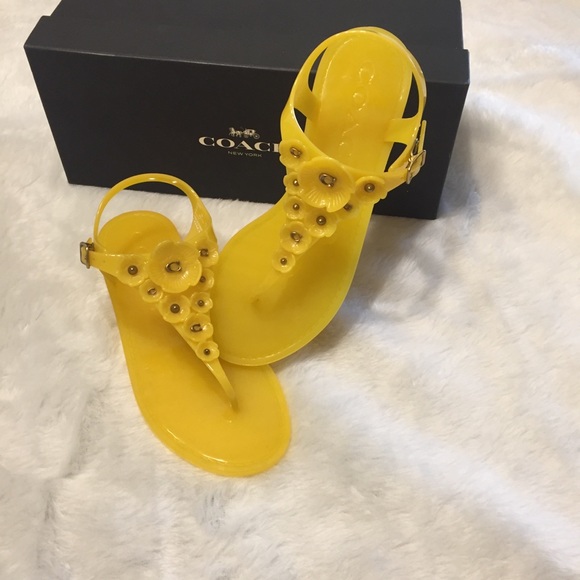 coach tea rose jelly sandals